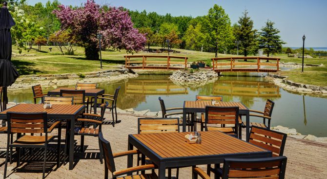 Terrasse du Seagulls Restaurant & Lounge