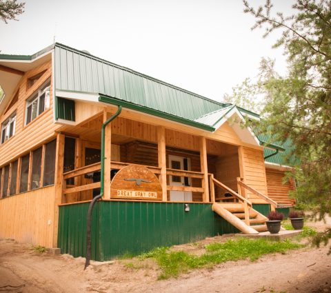 Minialbergue del búho real