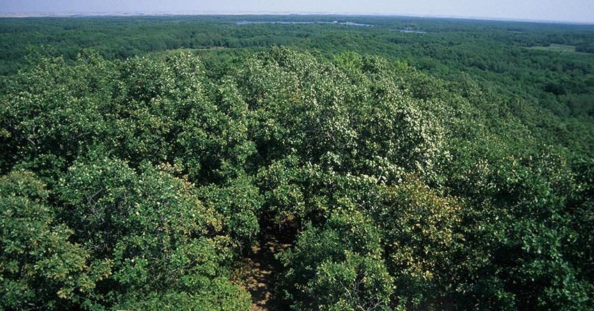 Turtle Mountain Provincial Park Travel Manitoba