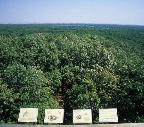 Parque Provincial de Turtle Mountain
