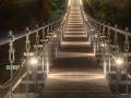 Souris Swinging Bridge at Night