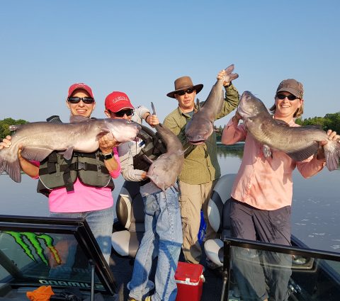 Crushing Channel Cats