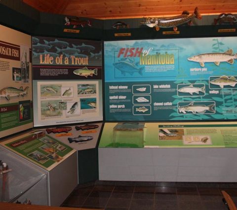 Écloserie du Whiteshell