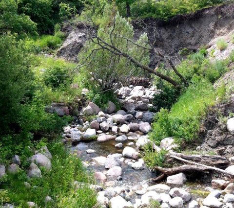 Parque Provincial del Valle de Pembina