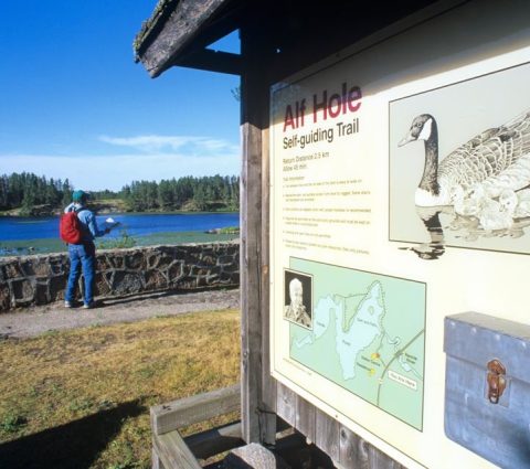 Santuario del ganso Alfred Hole