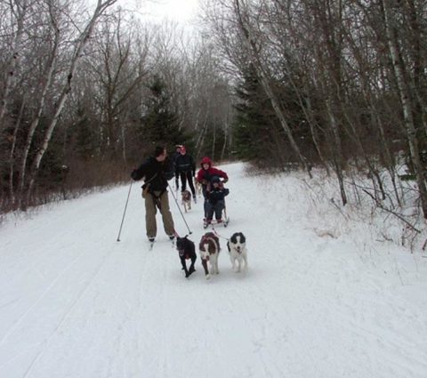 Parque de la Barrière