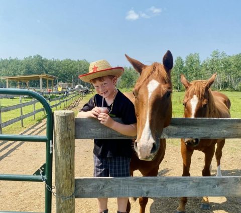 Passer du temps avec les chevaux