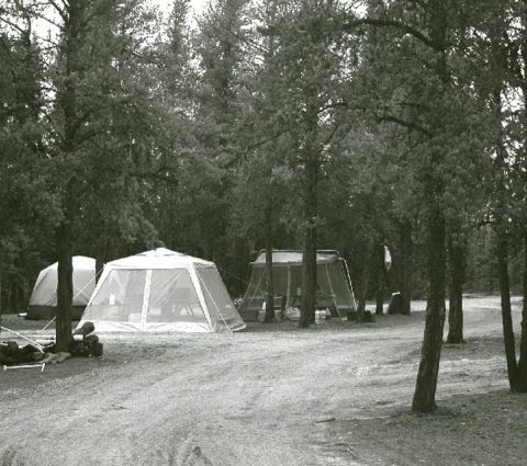 Parque Provincial del Lago Zed
