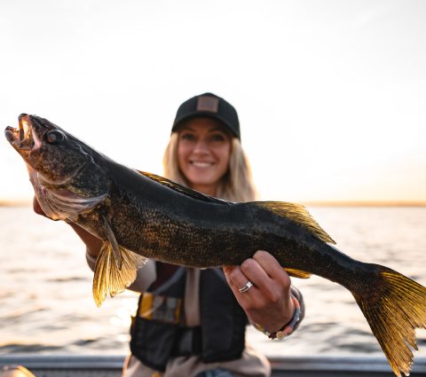 Aikens Lake Wilderness Lodge - Isda