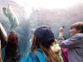 Assiniboine Park Zoo - Journey to Churchill