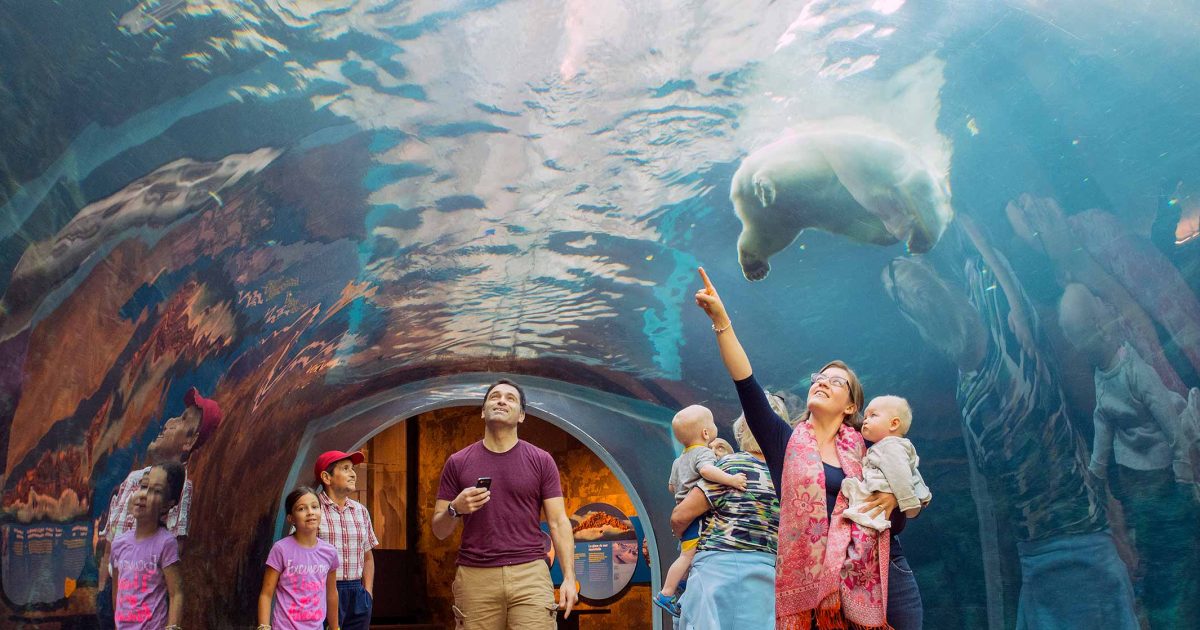 Assiniboine Park Zoo Travel Manitoba