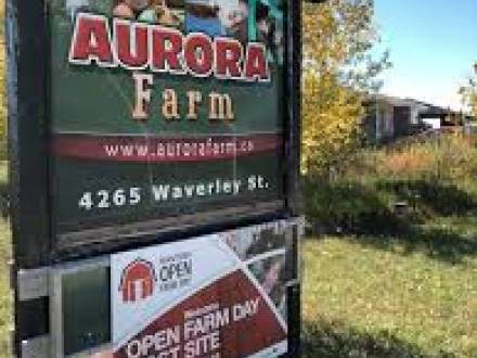 Aurora Farm