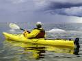 kayaking with belugas
