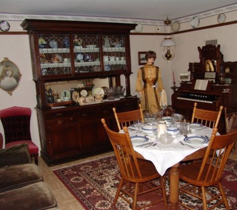 Museo Country Birdtail