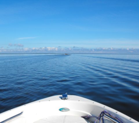 Puerto deportivo de Buffalo Bay