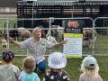 Six Pines : des animaux de compagnie sur roues