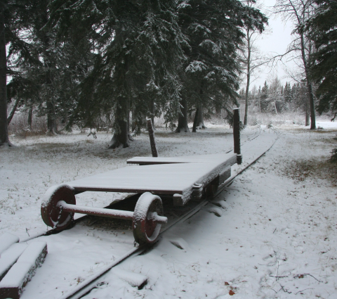 Grand Rapids Historische Straßenbahn