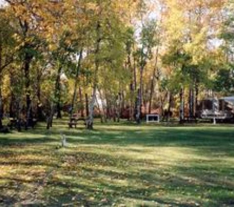 Campingplatz Green Acres