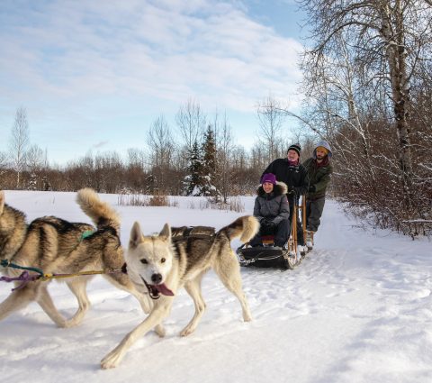 Excursión en trineo de perros con musher