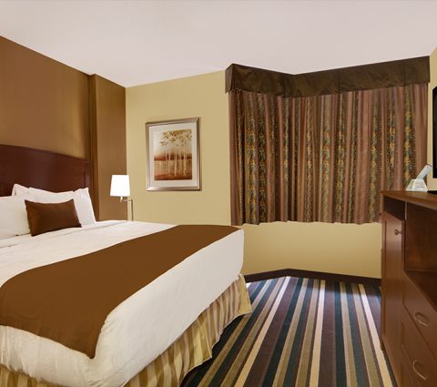 Suite Luna de Miel 2