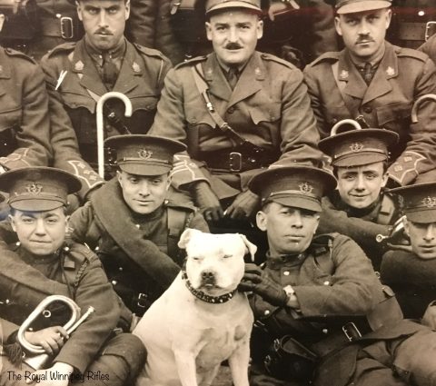 Mascotte du 90e régiment des Winnipeg Rifles