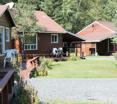 Tallpine Lodges