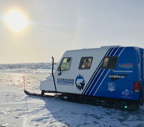 SnoBear | Icebound Excursions