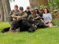 Chasse à l'ours noir