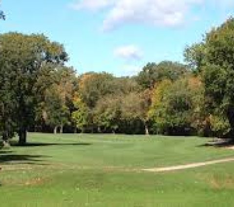 Kingswood Golf & Country Club