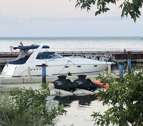 Servicio de alquiler de cruceros exprés de Gull Harbour