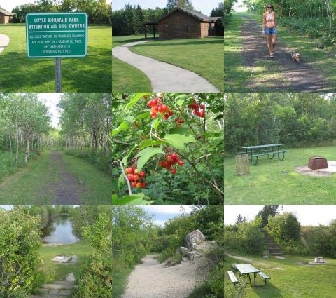 Parque de Little Mountain