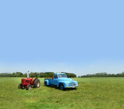 Manitoba Threshermen's Reunion