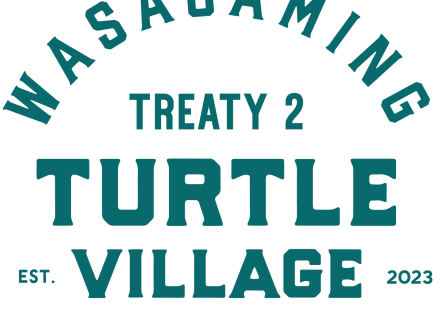 Turtle Village Logo