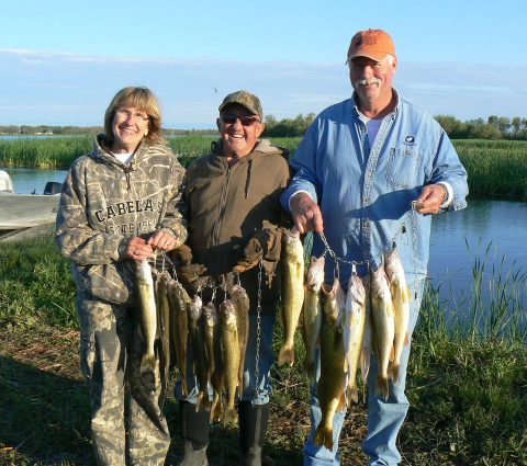 Pesca de la lucioperca