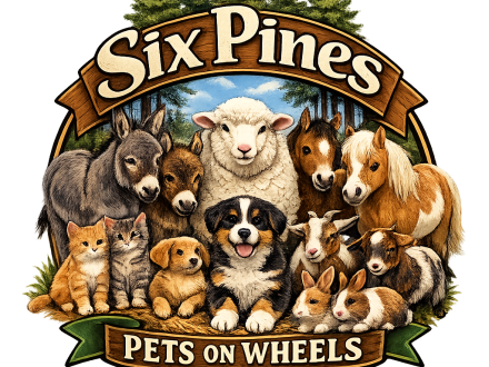 Six Pines : des animaux de compagnie sur roues