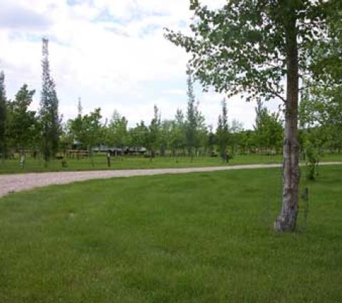 Pembina Valley Centennial Park