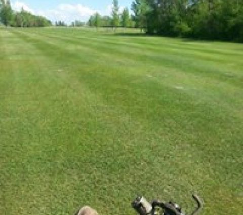 Pilot Mound Town & Country Club