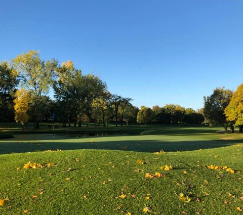 Fairway in Fall