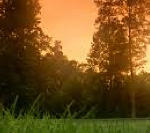 Prairie Oaks Golf Course