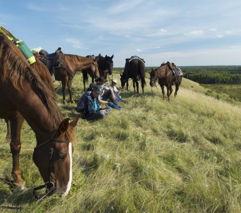 disfrutando del paisaje Parque Nacional de la Montaña de Riding