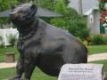 Rossborn Historic Sites - Black Bear