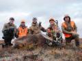 Caribou harvest