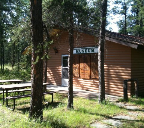 Sandilands Forest Education Centre
