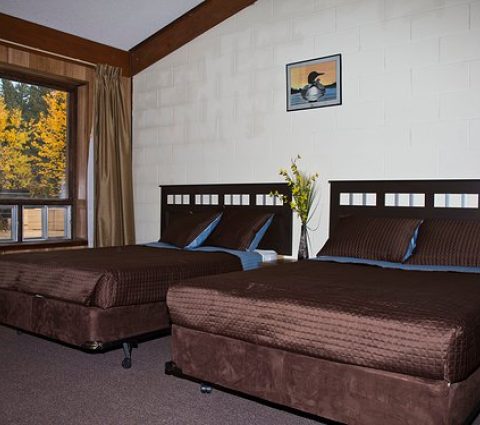 Sasagiu Rapids Lodge