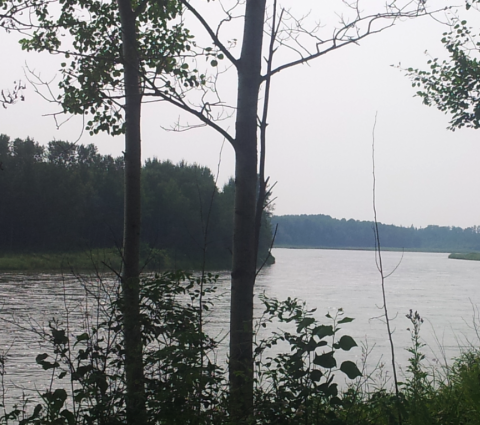 Einarsson's Guide Service