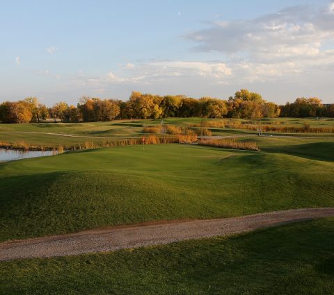 Shooters Family Golf Centre