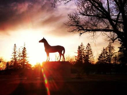 White Horse Statue at Sunset