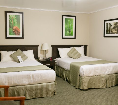 The Victoria Inn Hotel and Convention Center - Flin Flon