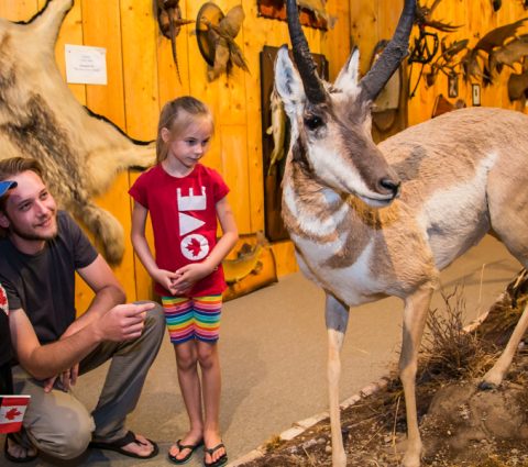 Museo de la Naturaleza