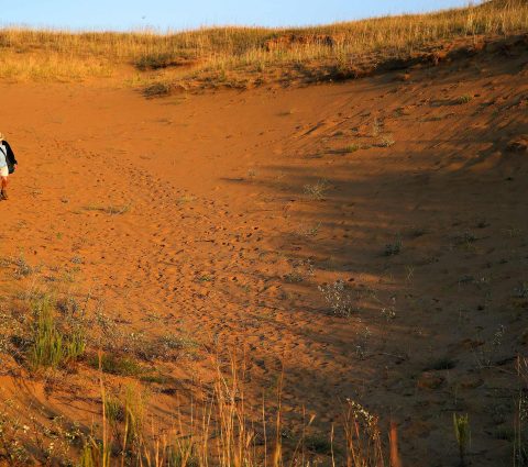 Caminando por las dunas de Western Spirit Sands